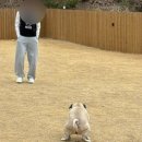 까사드만수 이미지