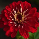 상동초등학교 이미지