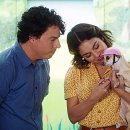 해피도그 이미지