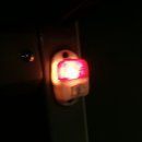 부일여객 이미지