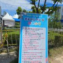 솔강중학교 | 청주 오송 물놀이장, 오송 정중근린공원 물놀이터