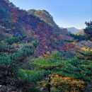 주식회사 산 이미지