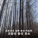 초보자도 등반 가능한 고장산 등산 코스 안내