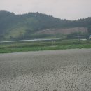 사근달 Daum카페