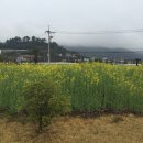 풀향기 휴양펜션 이미지