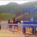 마수목장 이미지