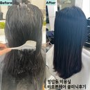 제제미용실 | 청담동 미용실 비오른헤어 개털된 건조한 머리 복구해준 고마운 클리닉 후기