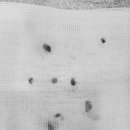 동주동물병원 이미지