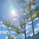 광주명문치과의원 이미지