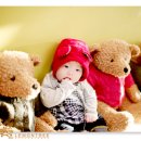 레몬트리 이미지