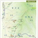 1129 이미지