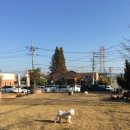 애견천국 이미지