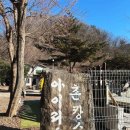 펜션아이리스 | [경기도/가평] 서울 근교 가평 애견 동반 대가족 촌캉스 후기 | 아이리스 촌캉스 펜션