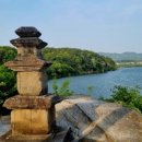 불타는 오리&닭 이미지