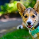 세화로134번길 이미지