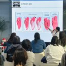 그레이스 고양이 병원 이미지