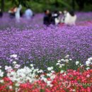 인제개발(주)