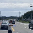 강릉청솔공원 이미지