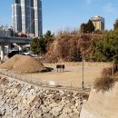 장도포대지 이미지