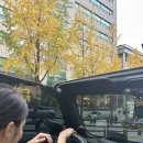 더제이케이스토어