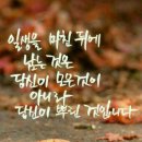 세계아동요리협회 이미지