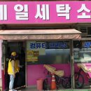 제일세탁마을 이미지