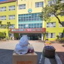 교리초병설유치원 네이버블로그