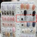 네일리앤아이래쉬