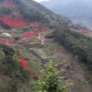 번덕뜰 민박 이미지