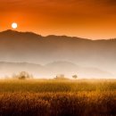 포토갤러리 이미지