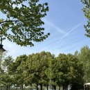 CU 오천신천지타운 | 상해 5박6일 자유여행 후기 - 2일차｜디즈니랜드 • 진천호텔 • 홍쿠이지아 • 릴리안베이커리...