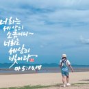 빛과 소금 이미지