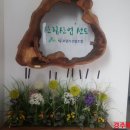 박외과 이미지