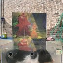 6월13일 쥬니멀생태교실(미니돼지,타란튤라,귀뚜라미)&방울토마토 물주기 이미지