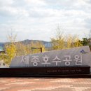 행복이가득한조경