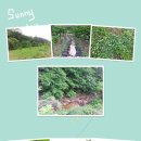 풀천지농장 이미지