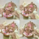 연세순풍산후조리원 이미지