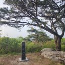 낙동정맥 1샷 산행기 - 2 이미지