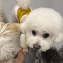 옐레드 송파헬리오시티점 이미지