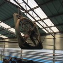 순창금산흑염소농장 이미지