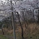 가산산성야영장 이미지