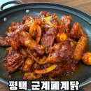 군계폐계닭 | 평택 맛집 향토 음식 추천 군계폐계닭 내돈내산 후기