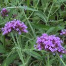 행정사감병기사무소 이미지