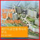 유성 공인중개사사무소 이미지