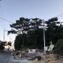 장금이물회 | 부산 기장 전복죽 맛집 ‘기장끝집’ 내돈내산 솔직 후기