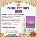 퍼피키티