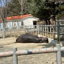 전주동물원 이미지