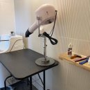 토리푸하우스 이미지