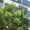 헤어컷 야간 | [별내미용실] 르헤브헤어 별내별가람역점 클리닉 후기