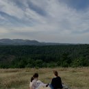 삼오민박 이미지